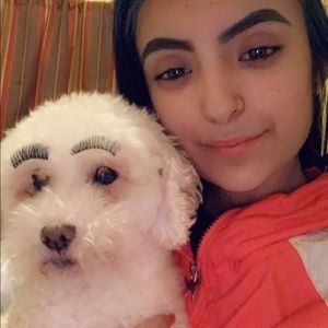 Meet your Posher, Genesis